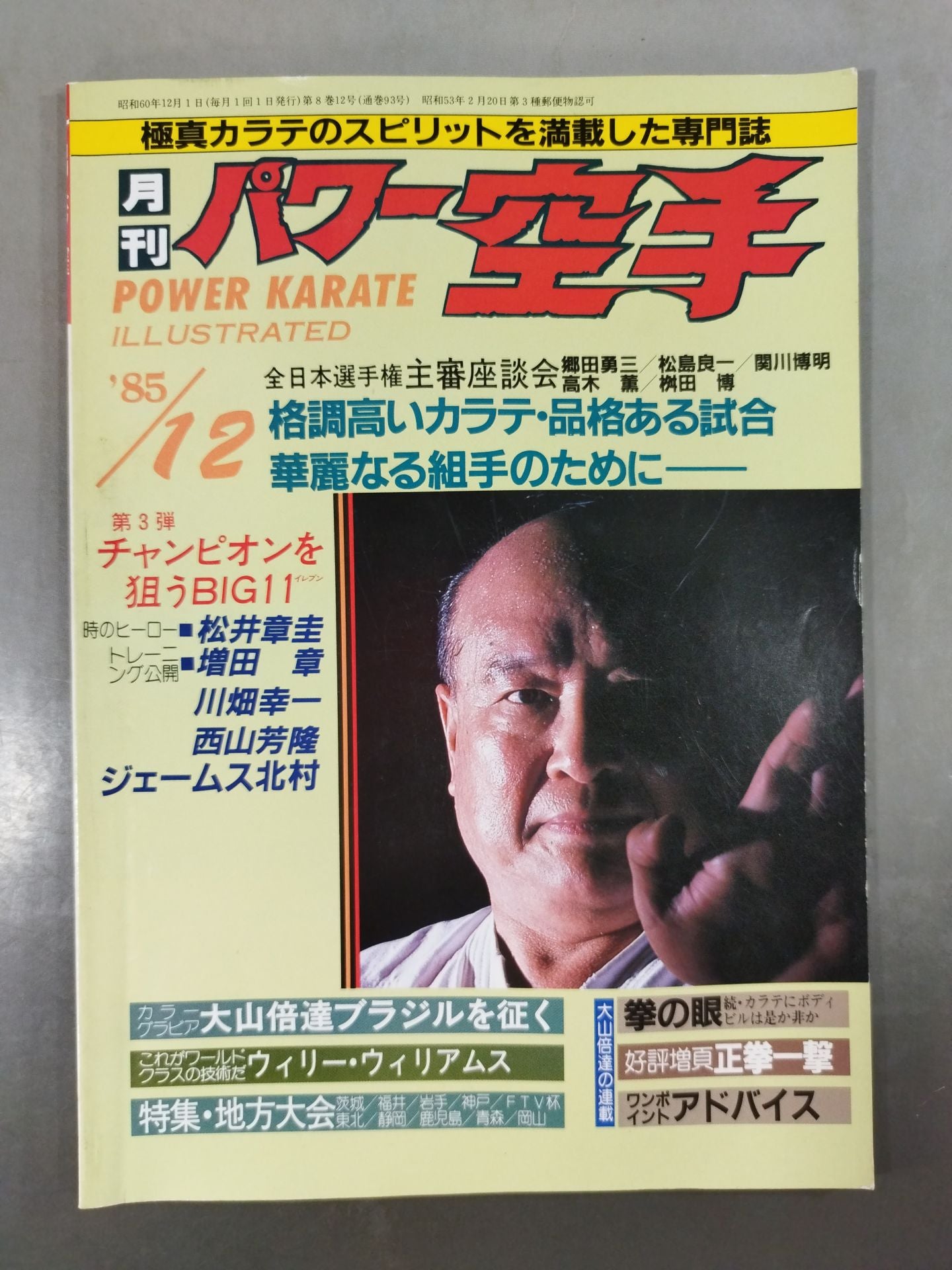 POWER KARATE 93