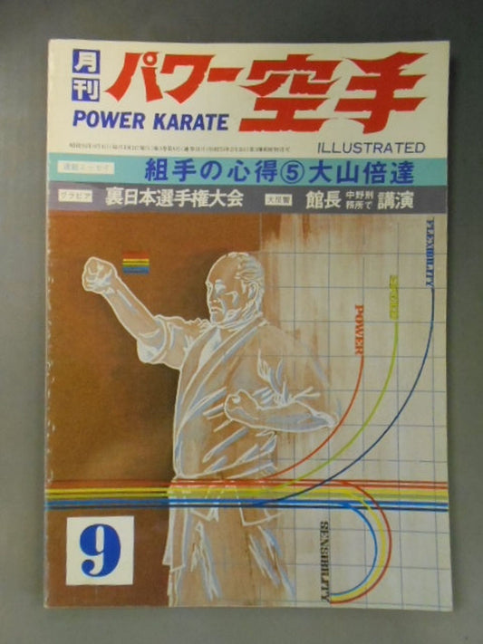 POWER KARATE 31