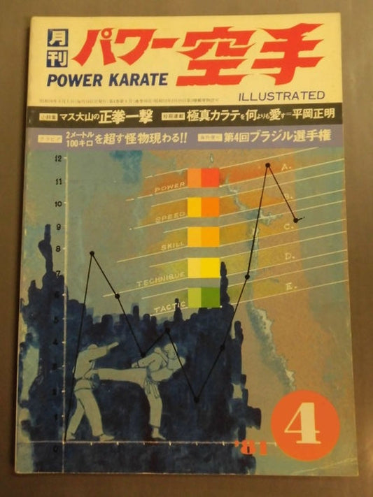 POWER KARATE 38