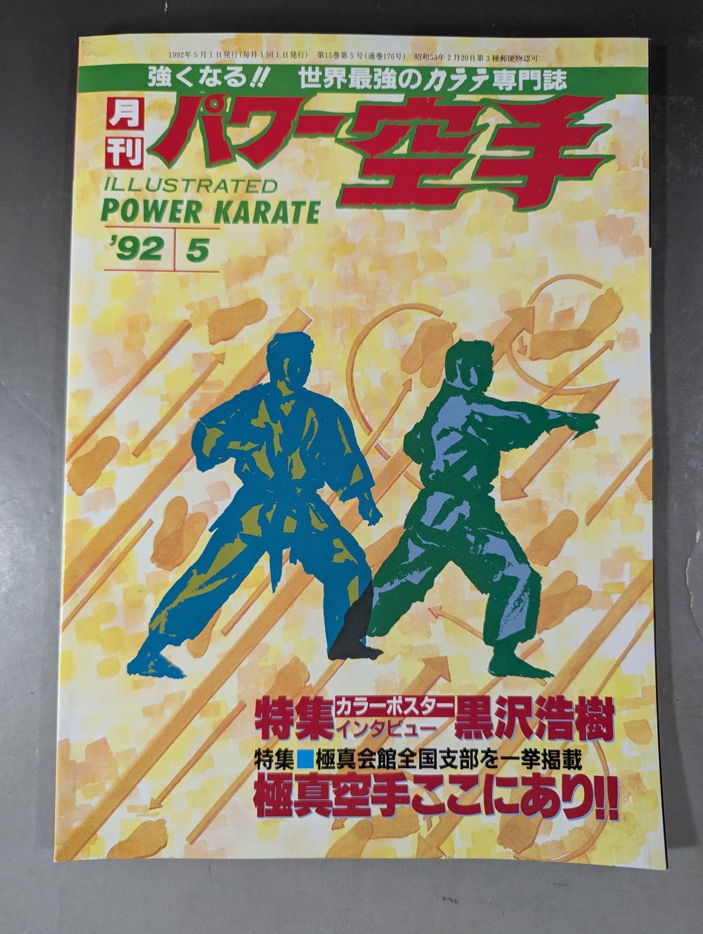 POWER KARATE 176
