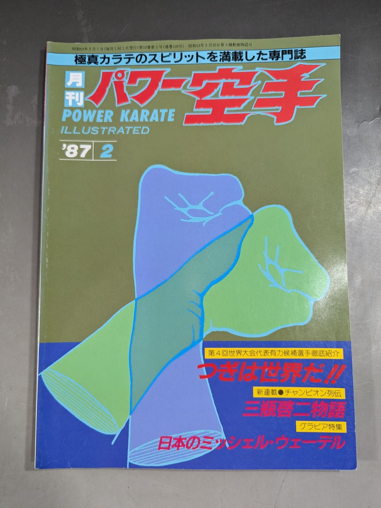 パワー空手109