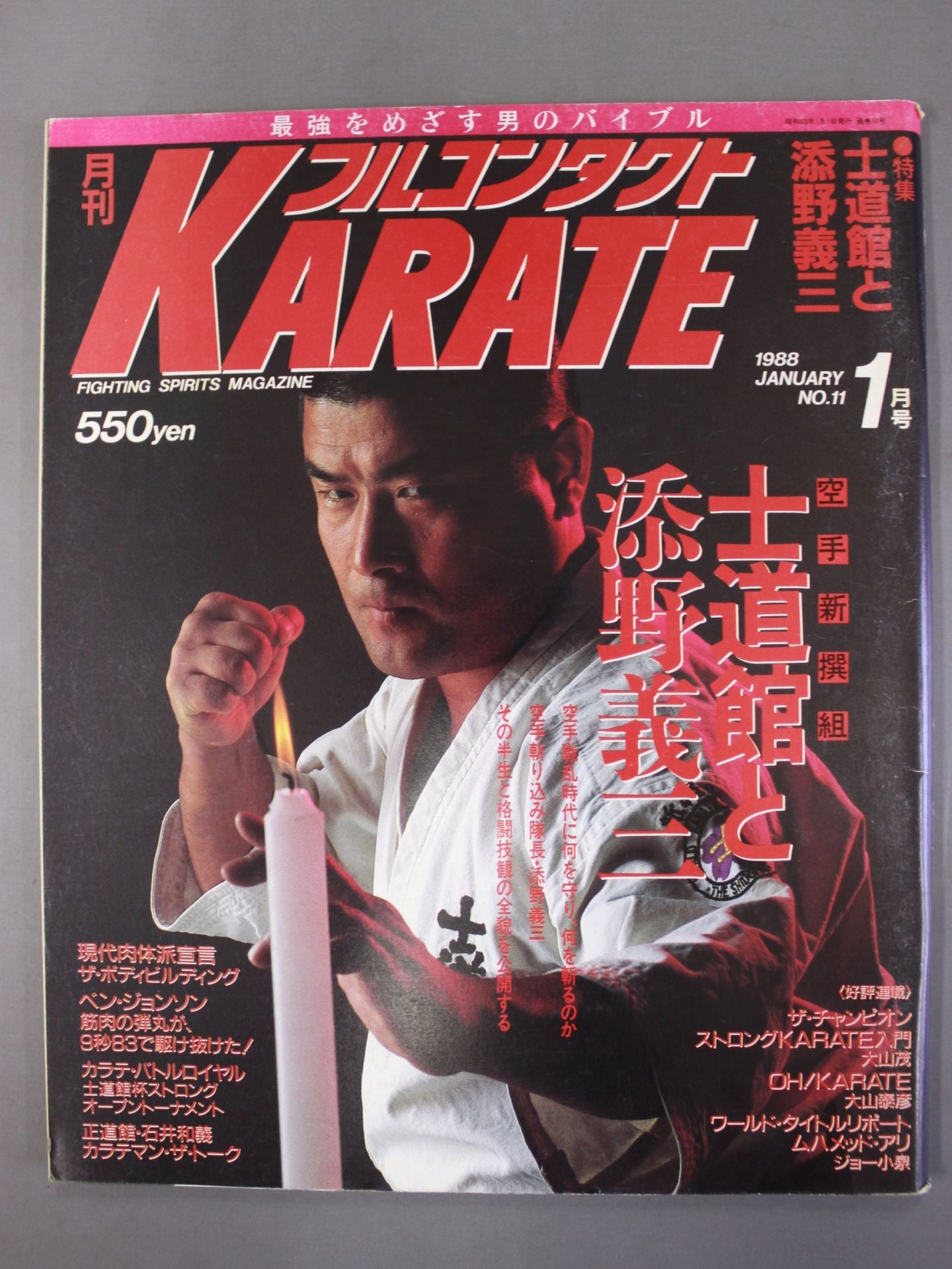 フルコンタクカラテ フルコンタクトKARATE11 – 闘道館