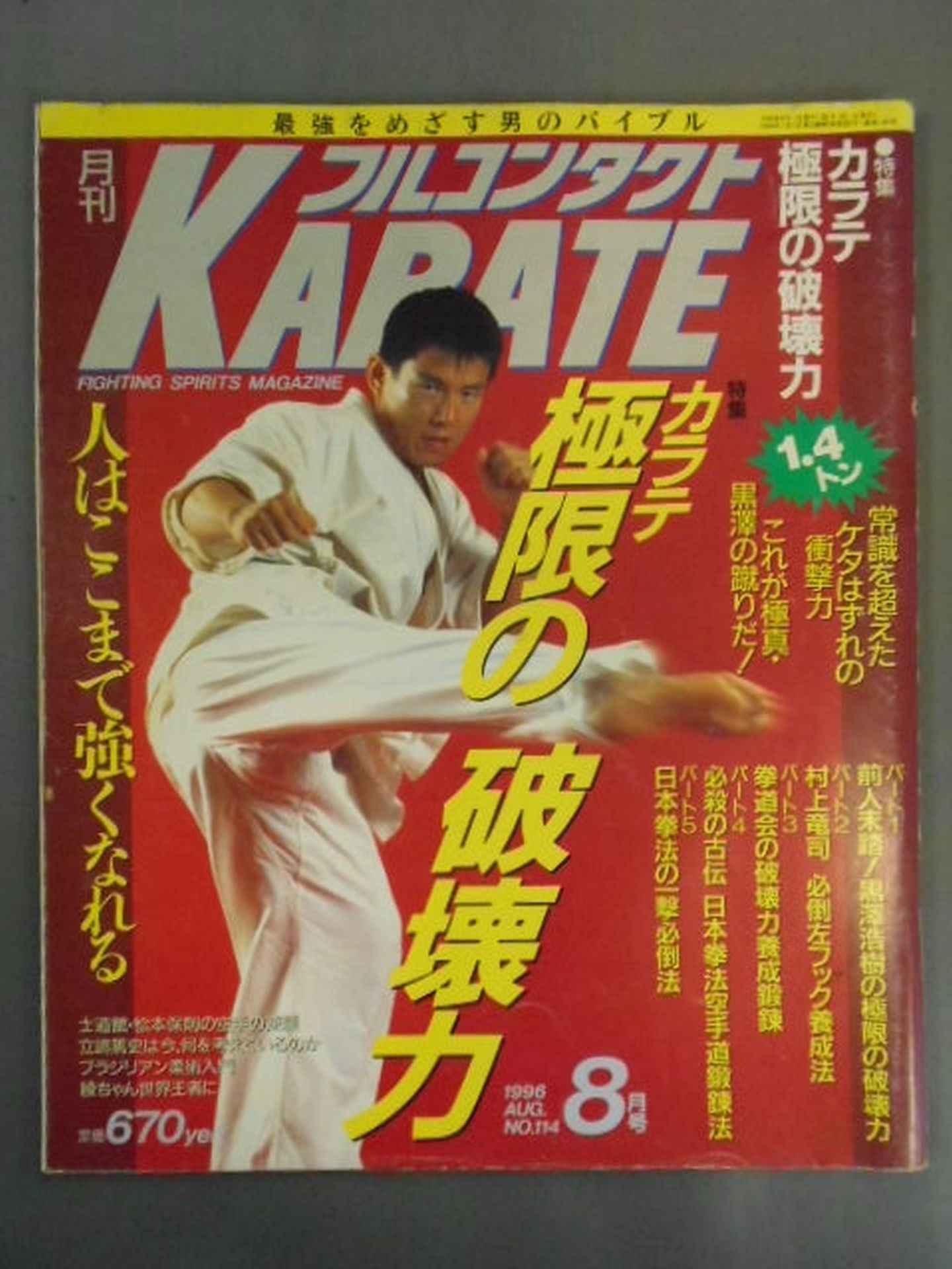 フルコンタクトKARATE114