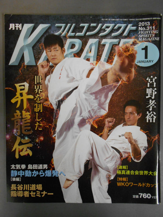 Full Contact KARATE311