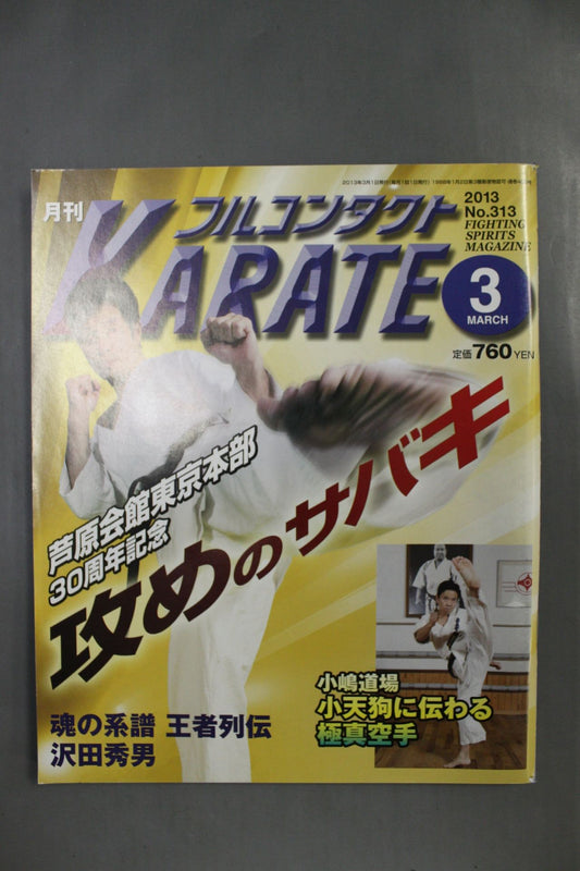 フルコンタクトKARATE313
