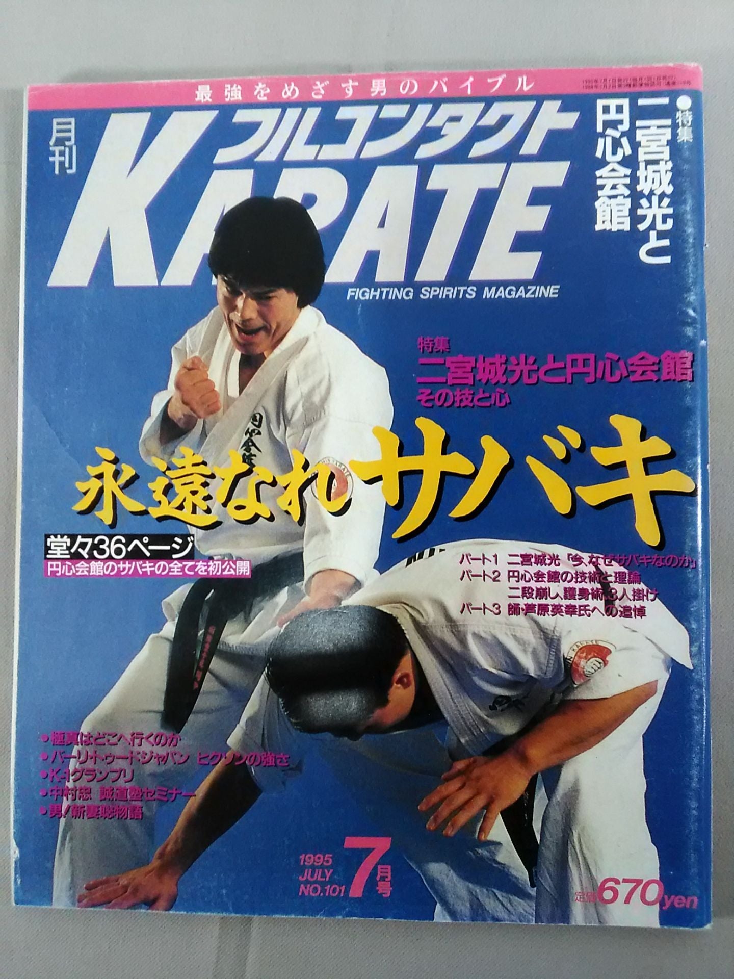 フルコンタクトKARATE101