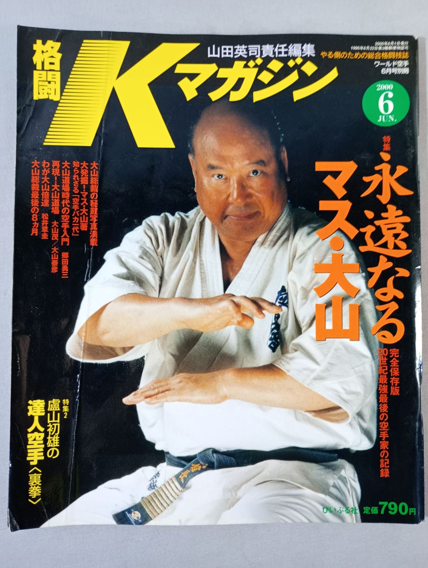 Fighting K Magazine 21