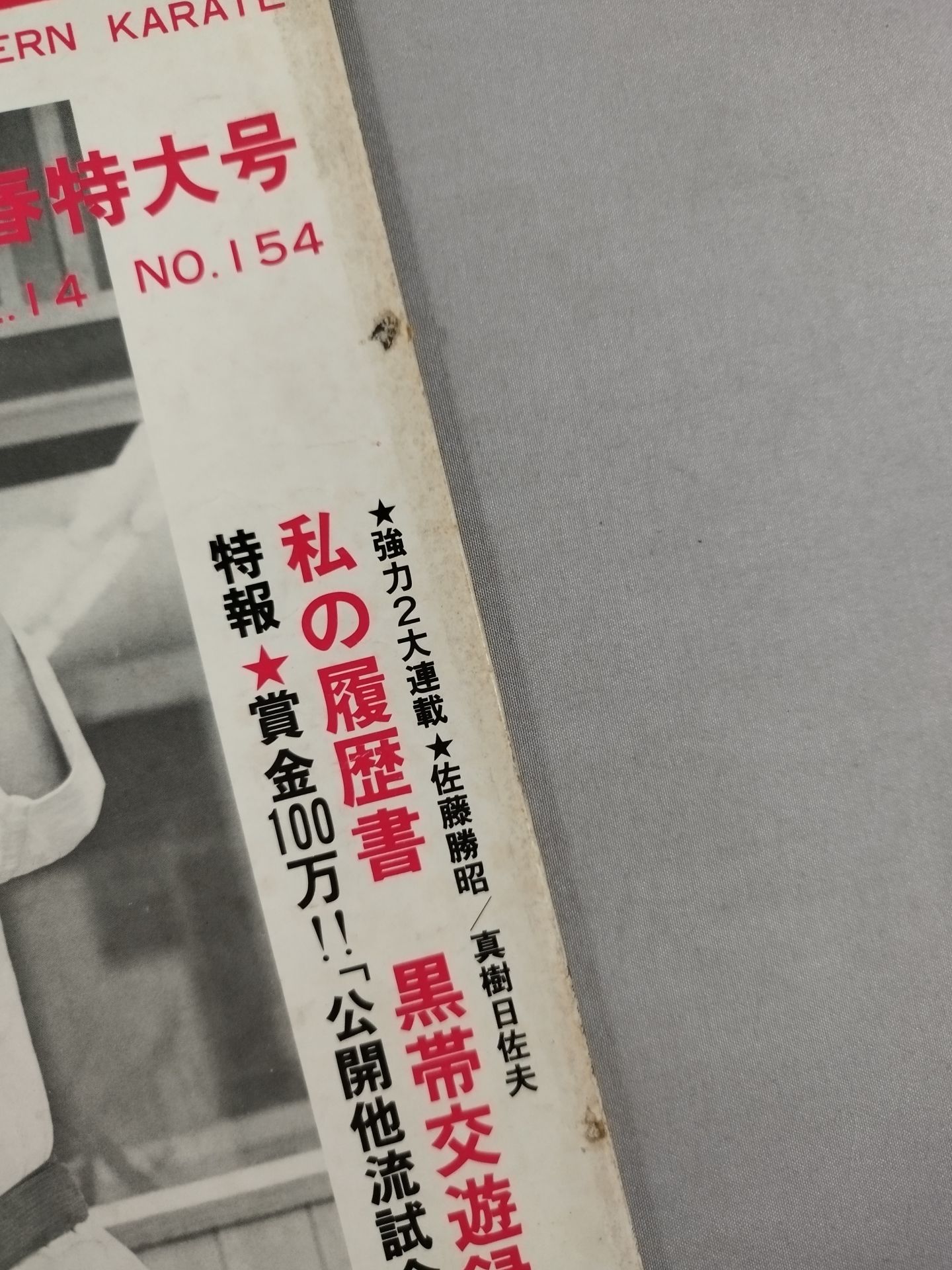 現代カラテマガジン Vol.14 No.154