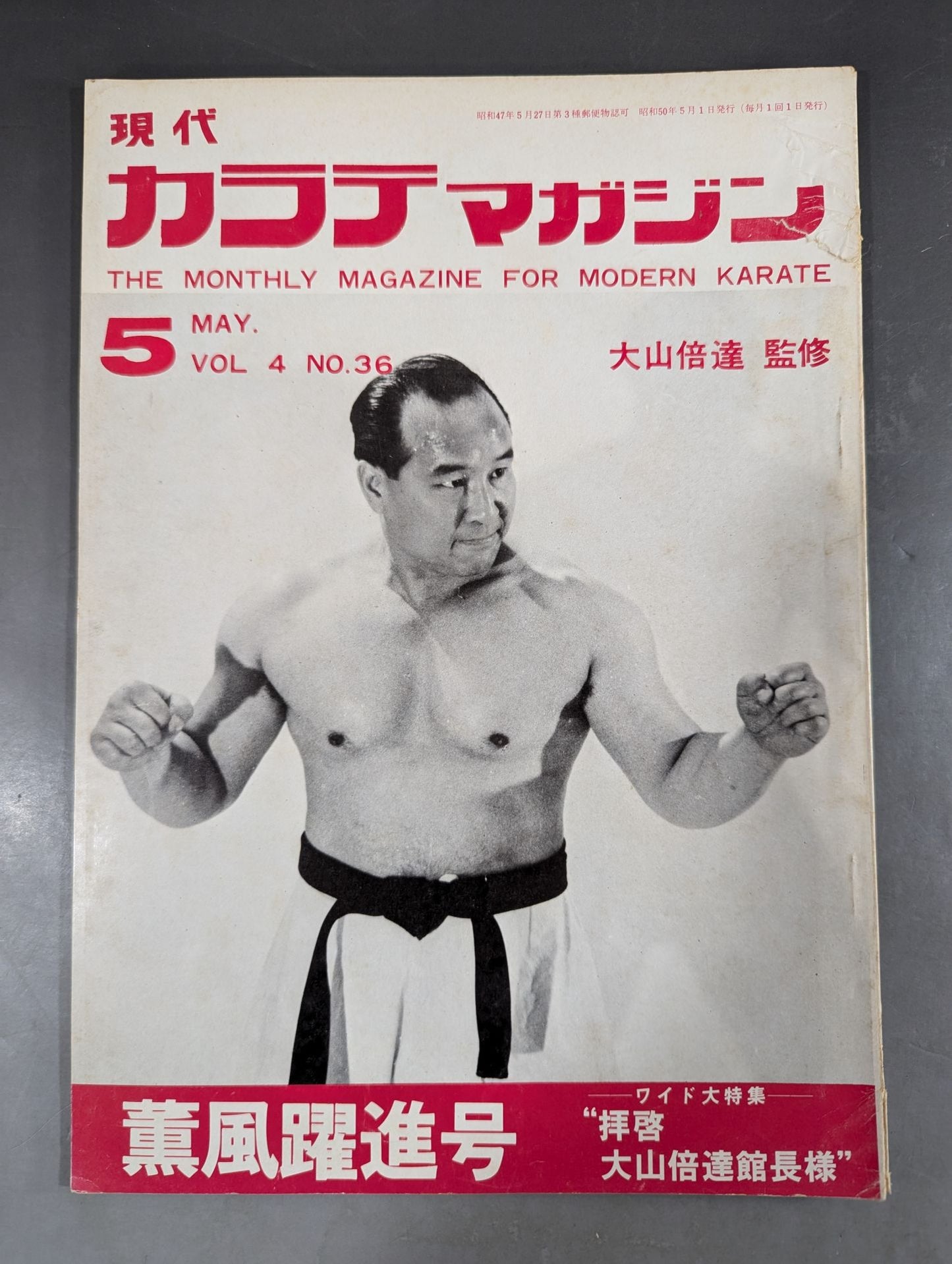 Hyundai KARATE Magazine Vol.4 No.36