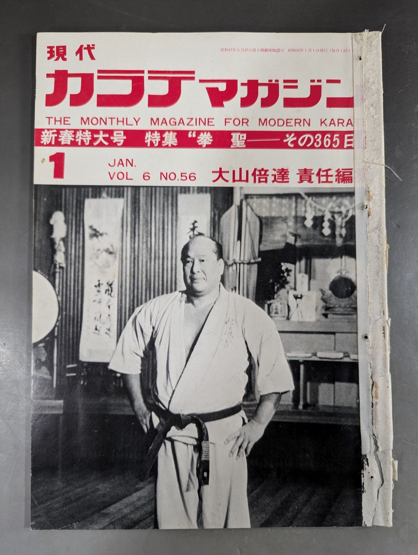 Hyundai KARATE Magazine Vol.6 No.56