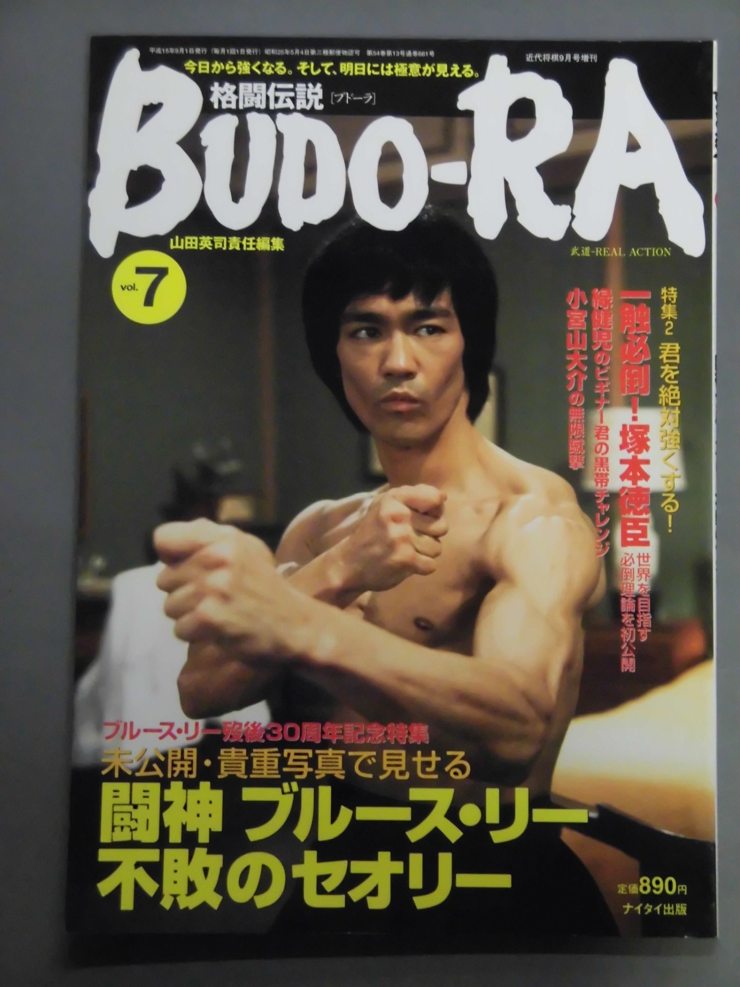 ブルース・リー　特大ポスター②　ピース 激レア ブルース・リー ポスター - メルカリ