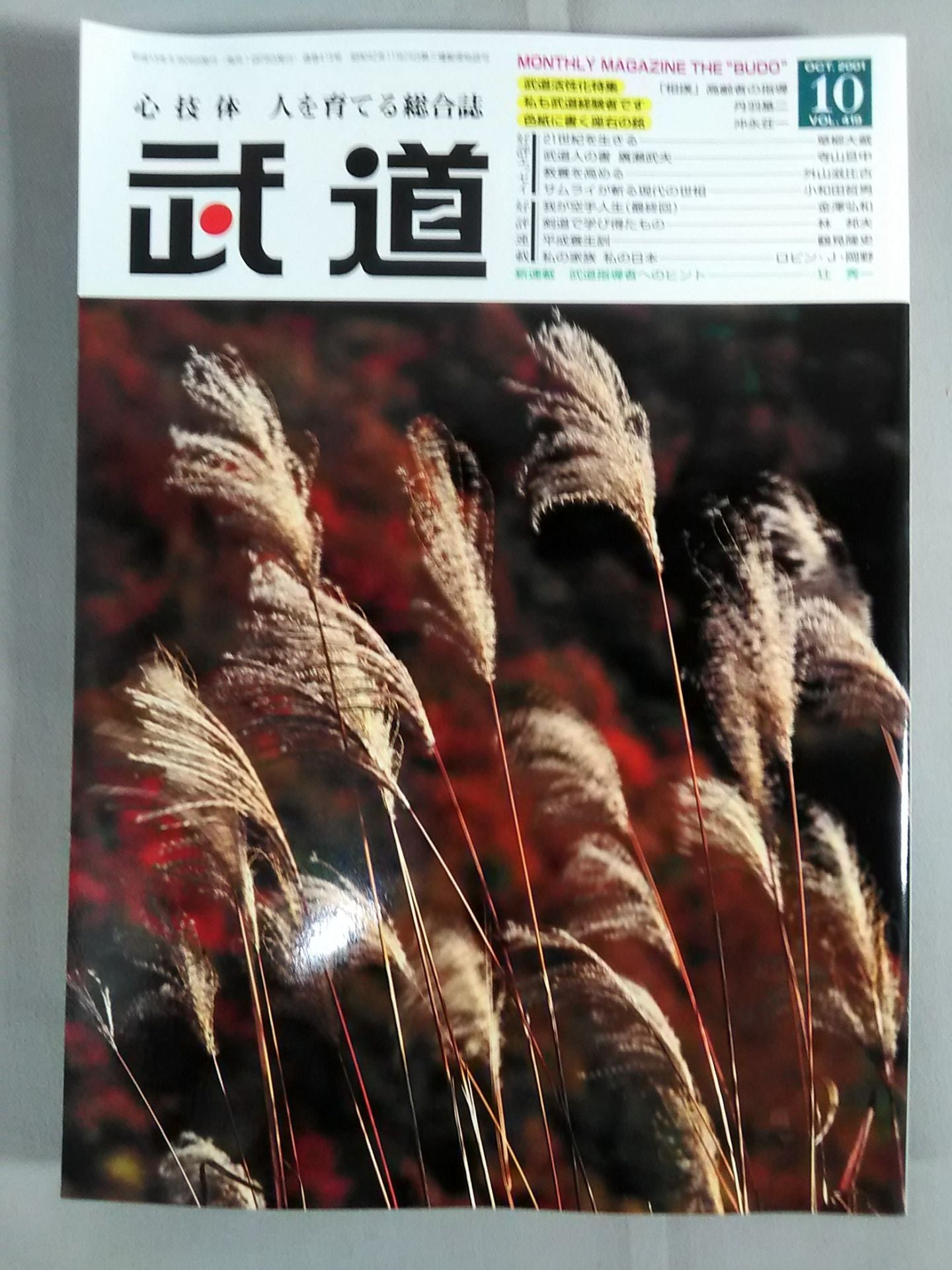 月刊武道419