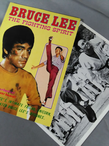 BRUCE LEE THE FIGHTING SPIRIT