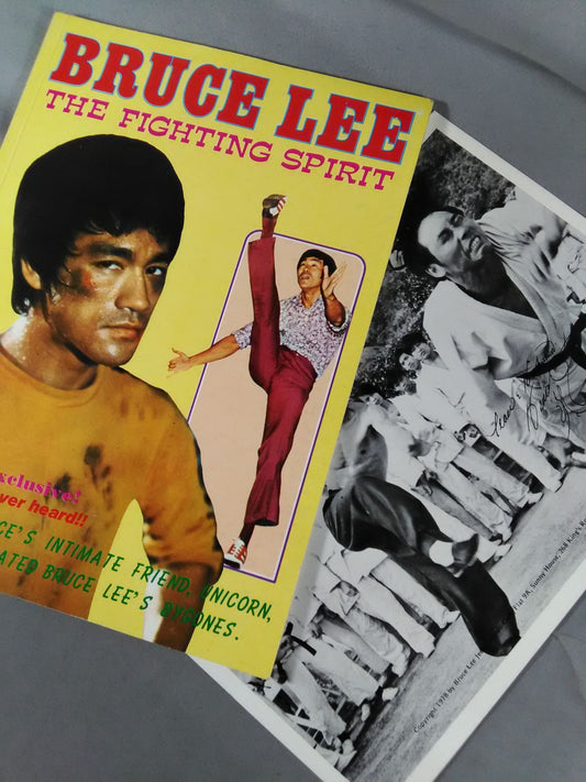 BRUCE LEE THE FIGHTING SPIRIT