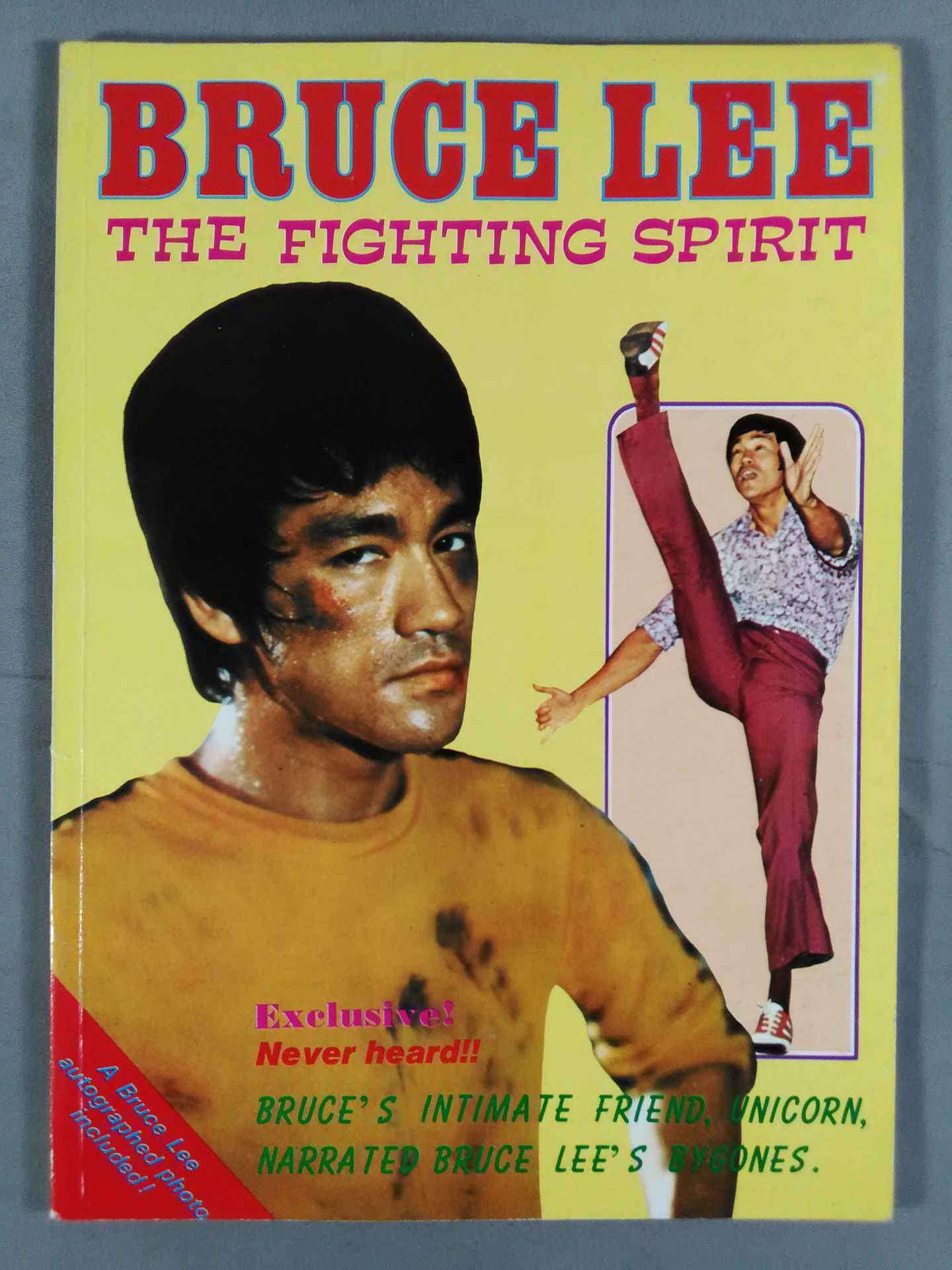 BRUCE LEE THE FIGHTING SPIRIT