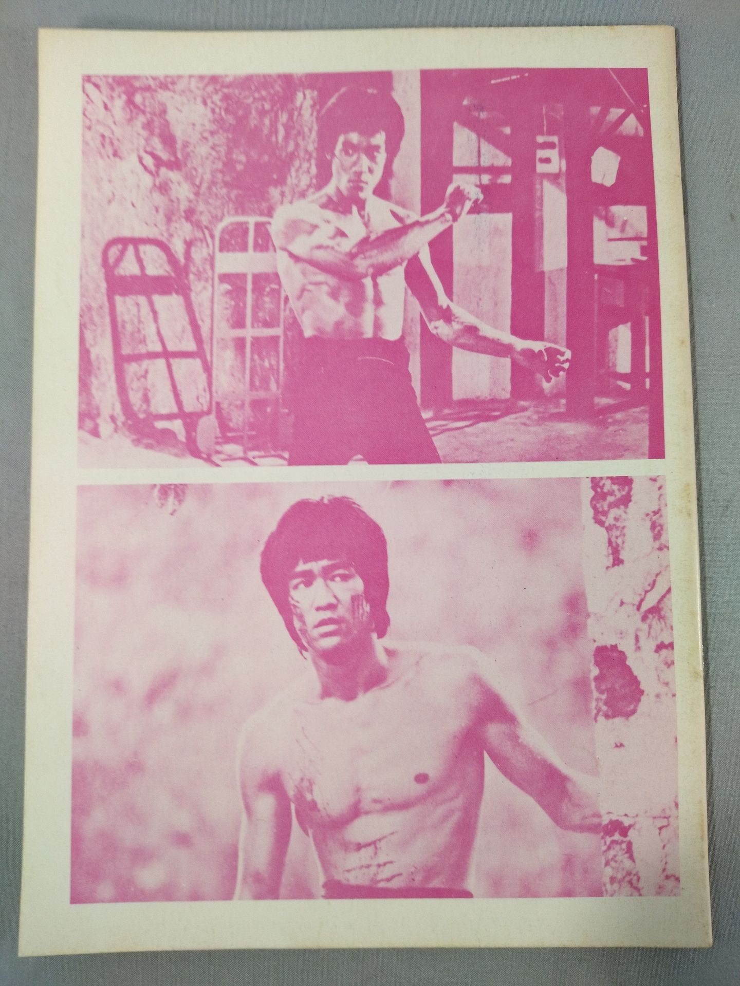 Bruce Lee  Masamoto Bruce Lee  寶鑑
