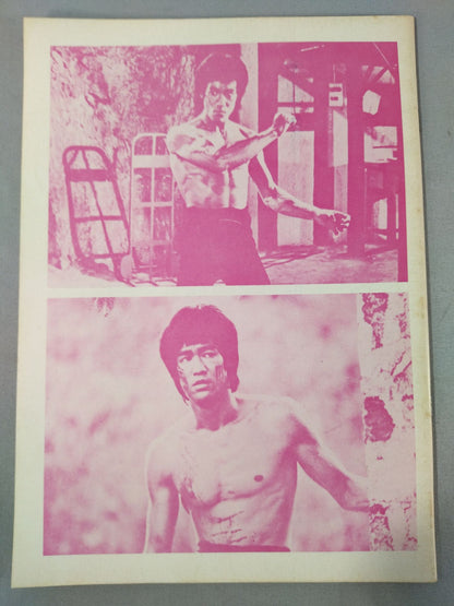 Bruce Lee  Masamoto Bruce Lee  寶鑑