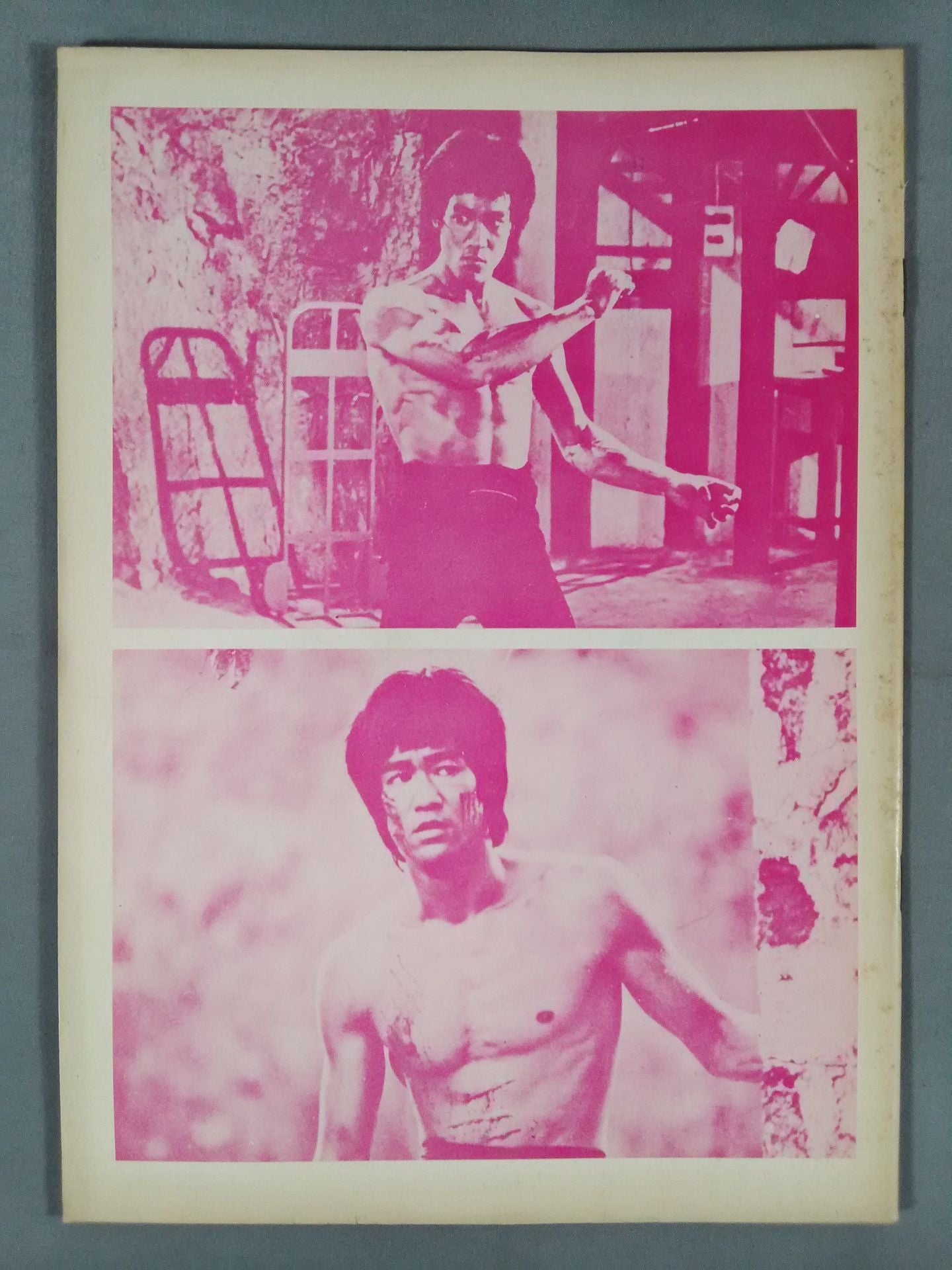 Bruce Lee  Masamoto Bruce Lee  寶鑑