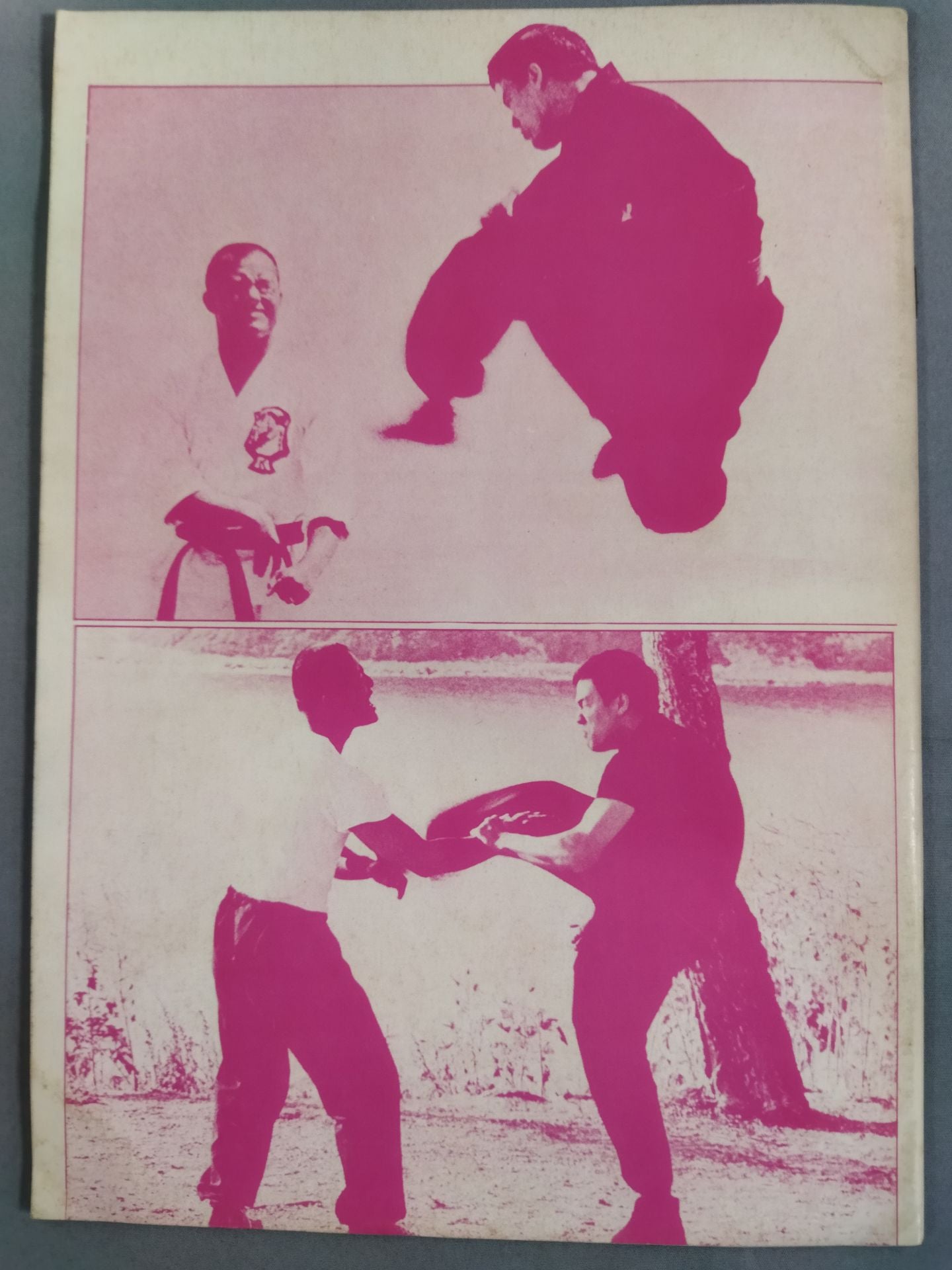 Bruce Lee  截拳道搏門 秘竅