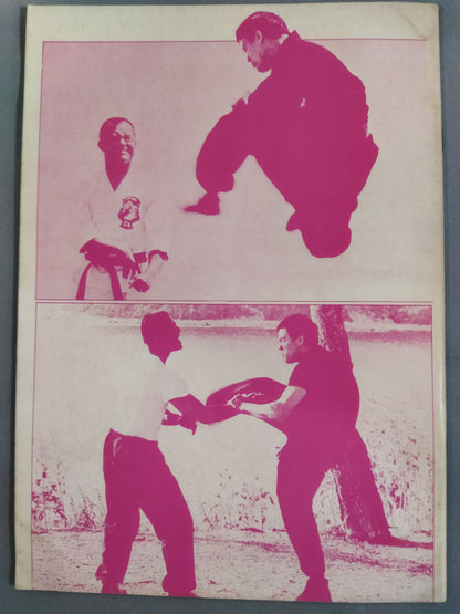 Bruce Lee  截拳道搏門 秘竅