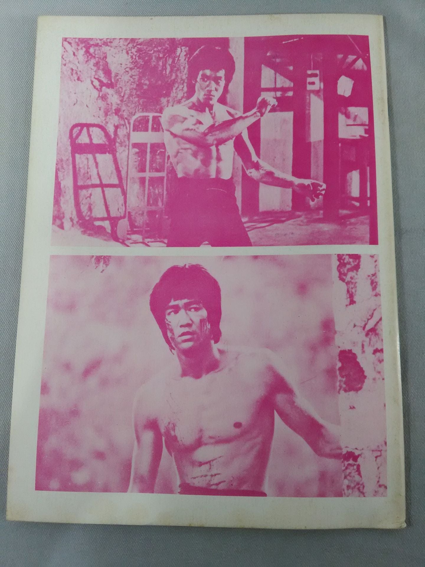 Bruce Lee  Treasure Book