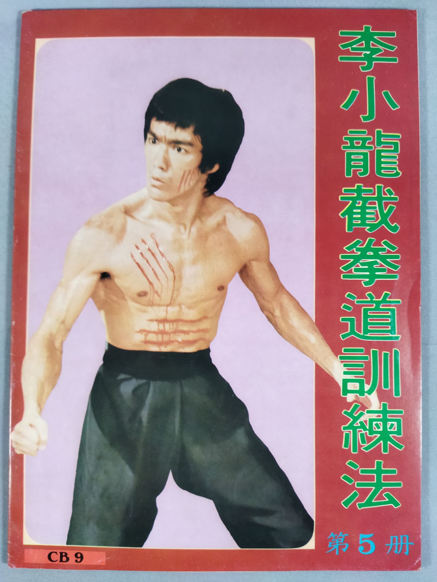 Bruce Lee  截拳道Training Method Volume 5