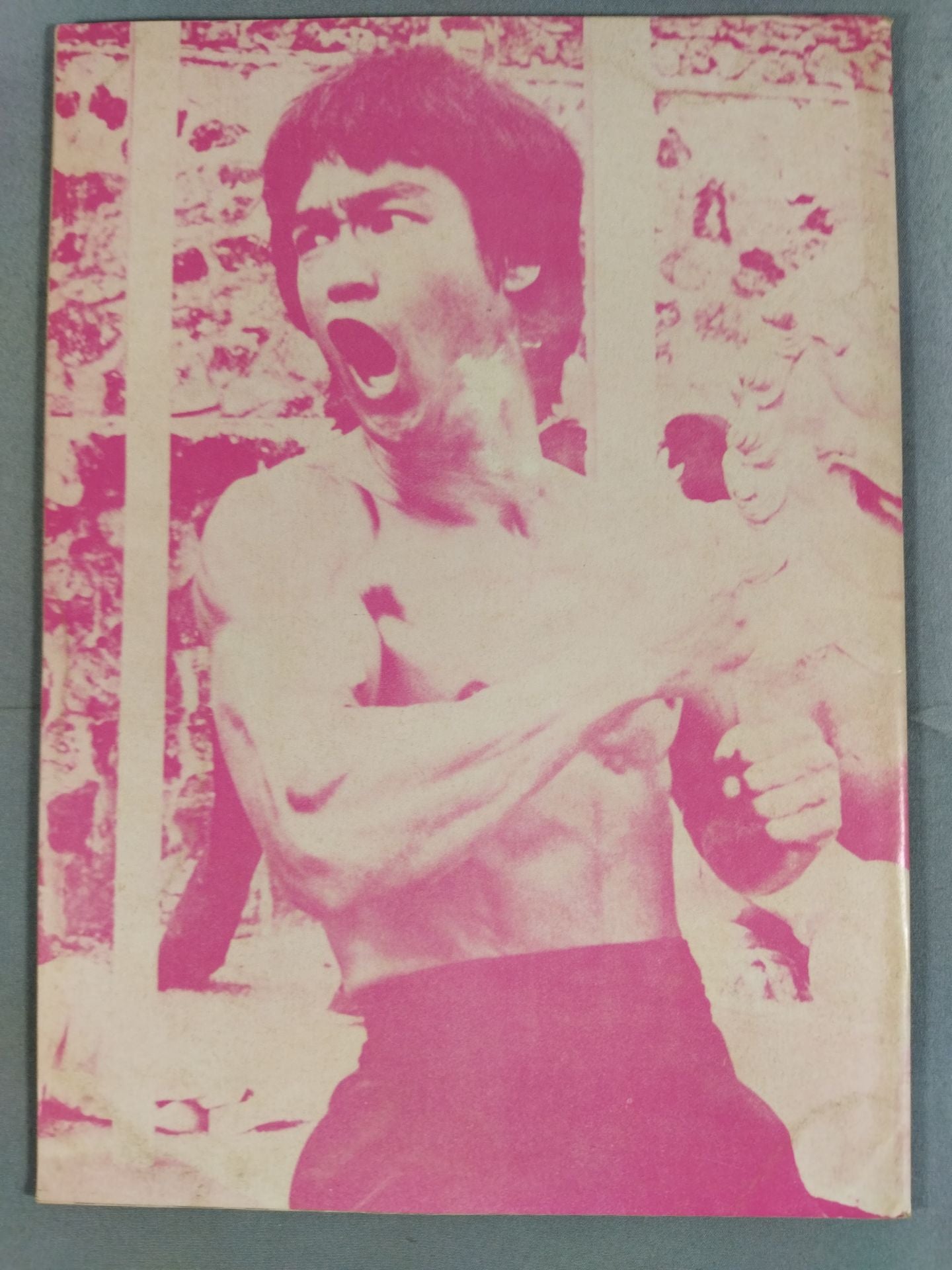 Bruce Lee  截拳道Training Method Volume 5