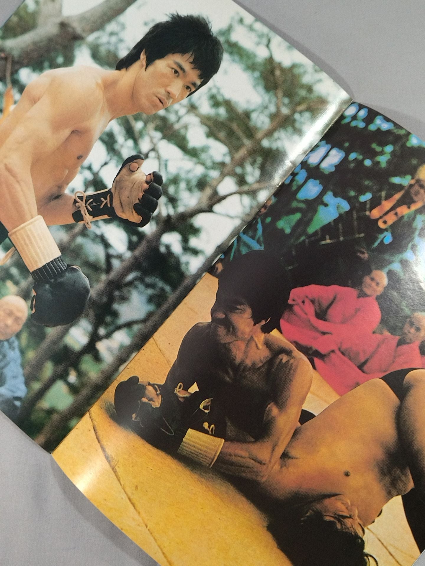 REVISTA BRUCE LEE No.28
