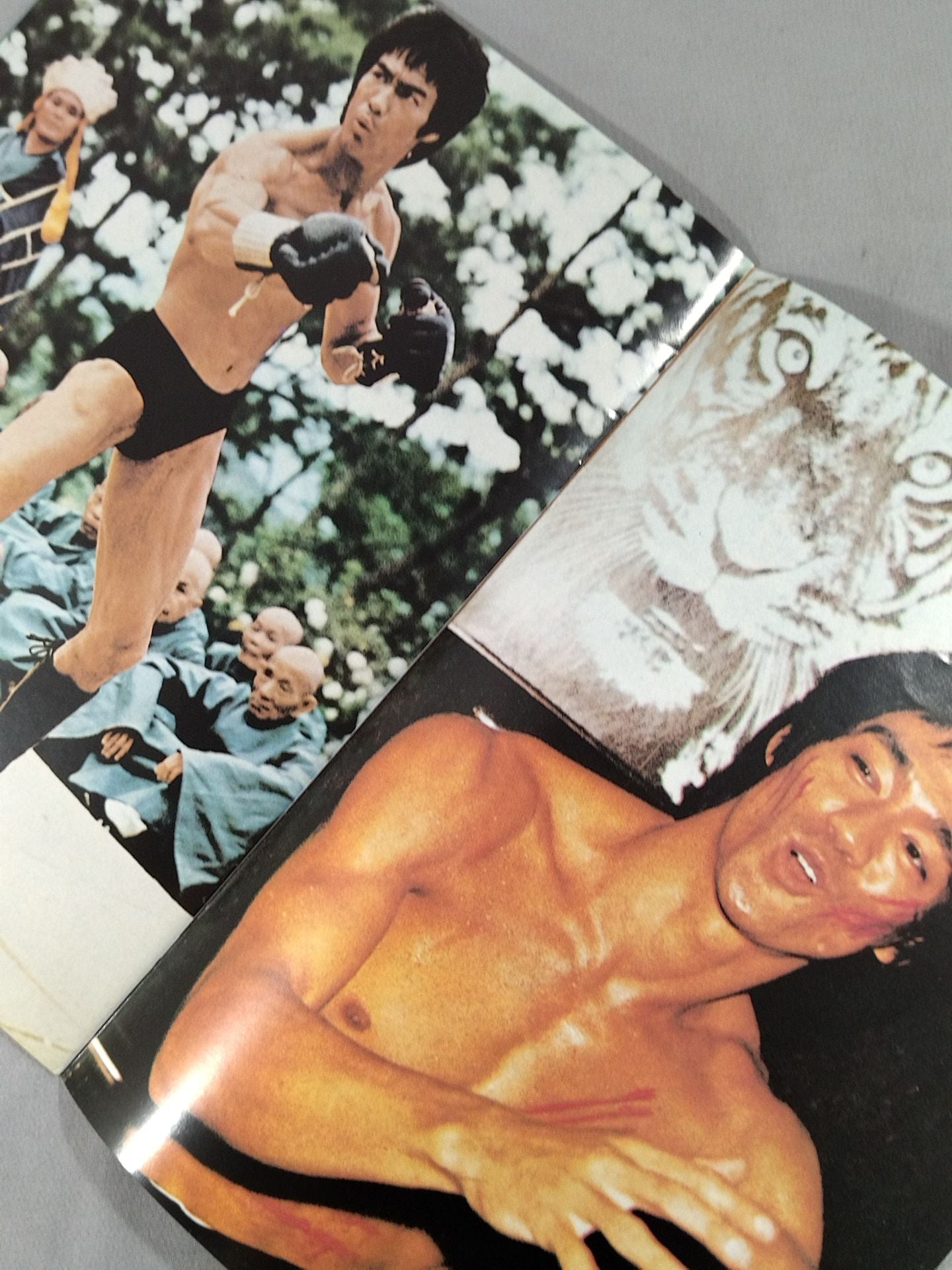 REVISTA BRUCE LEE No.28