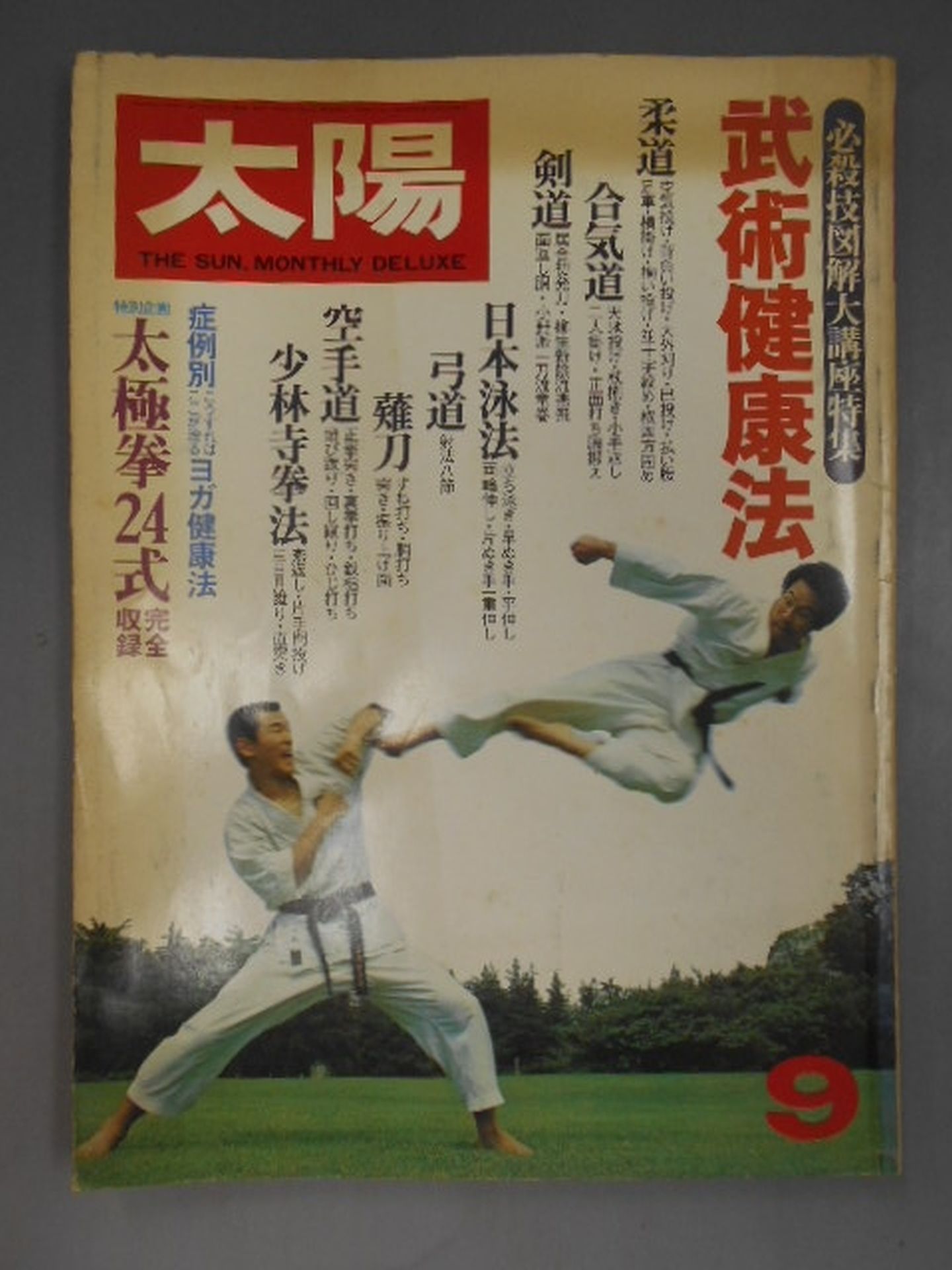 Sun'80 September Issue