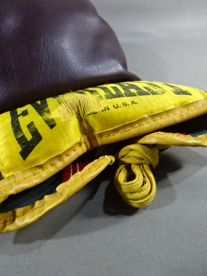 EVERLAST Boxing Gloves(1)