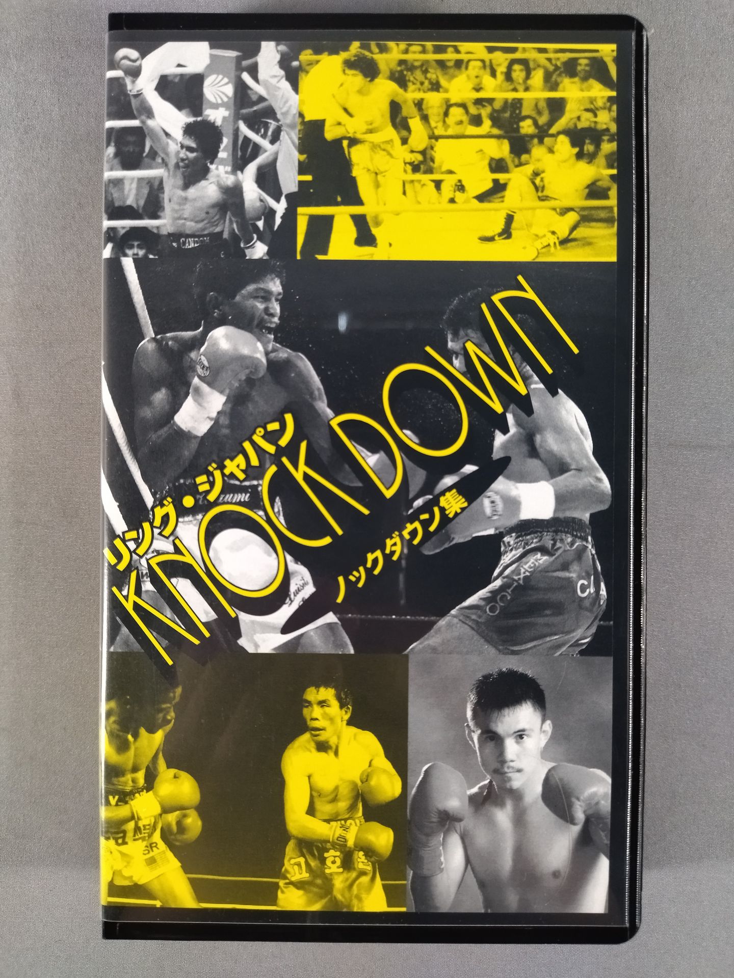 No.321 Ring Japan Knockdown Collection