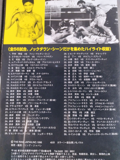 No.321 Ring Japan Knockdown Collection