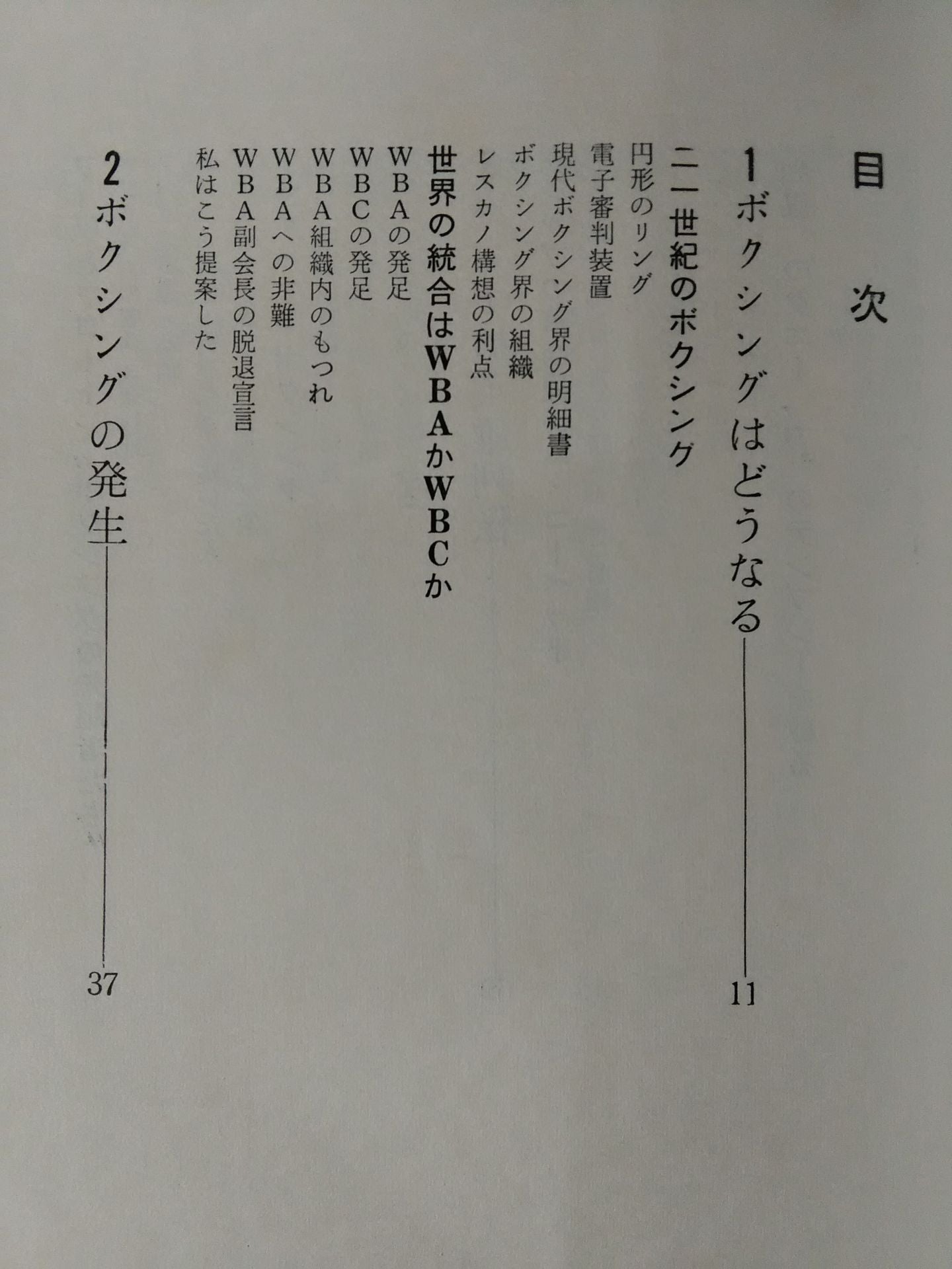 これがボクシングだ