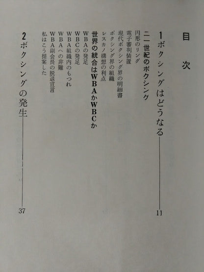 これがボクシングだ