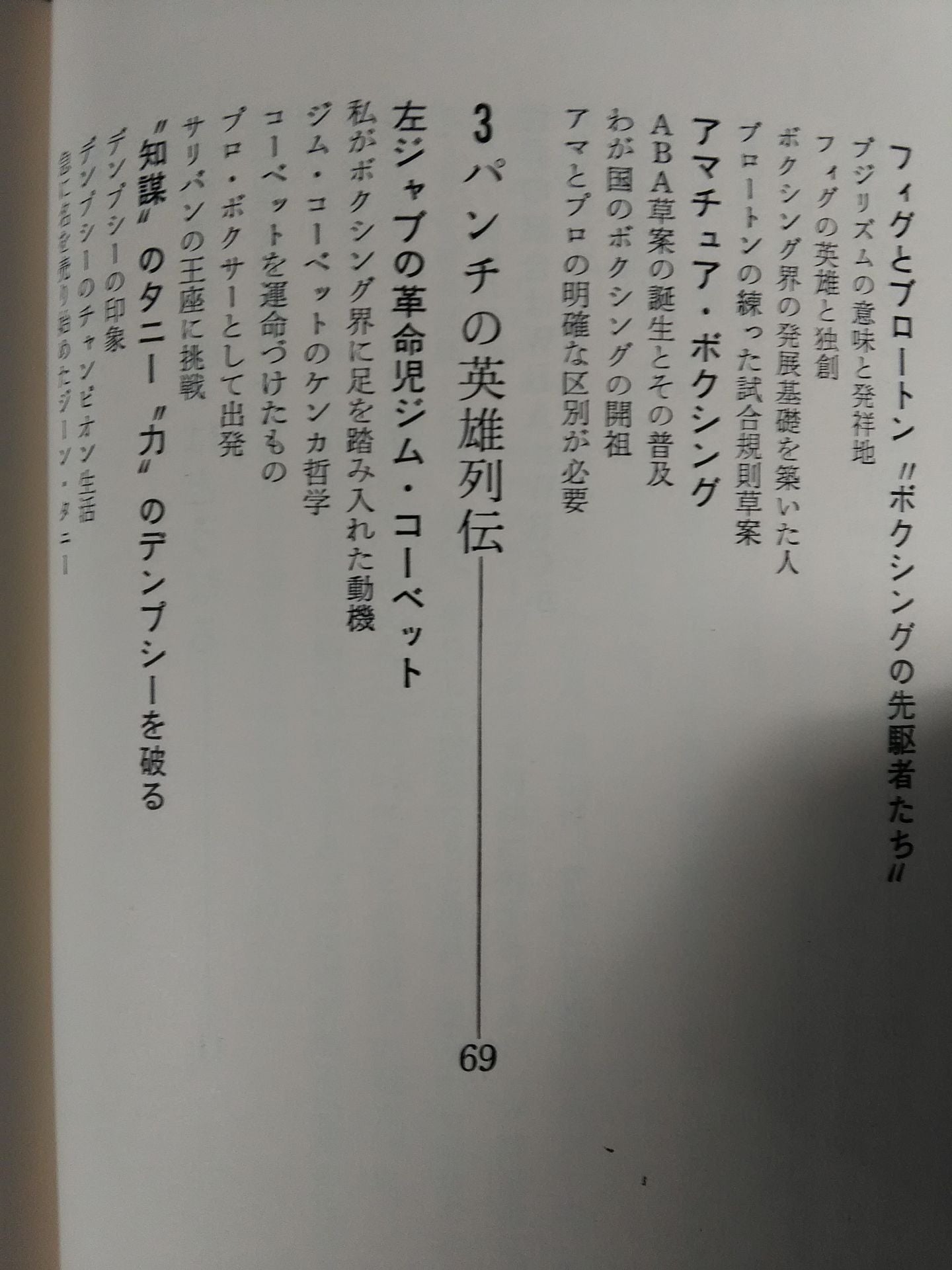 これがボクシングだ