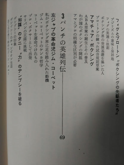 これがボクシングだ
