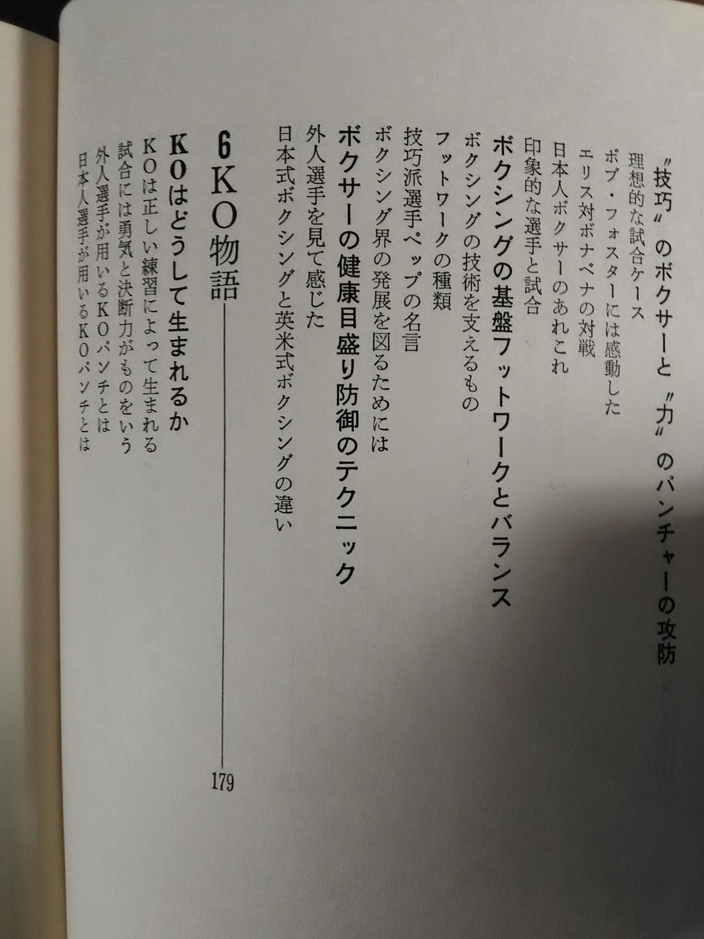 これがボクシングだ