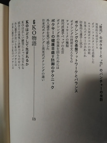 これがボクシングだ