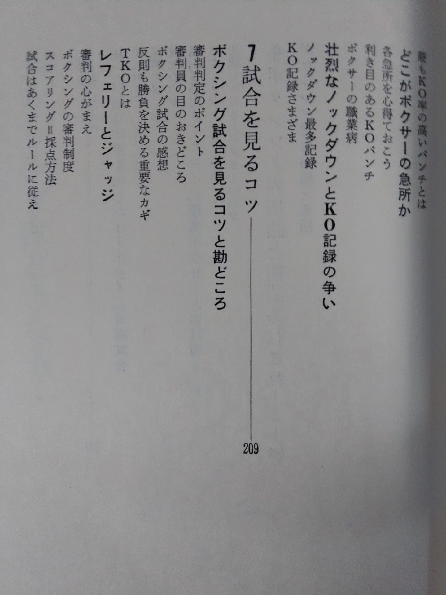 これがボクシングだ