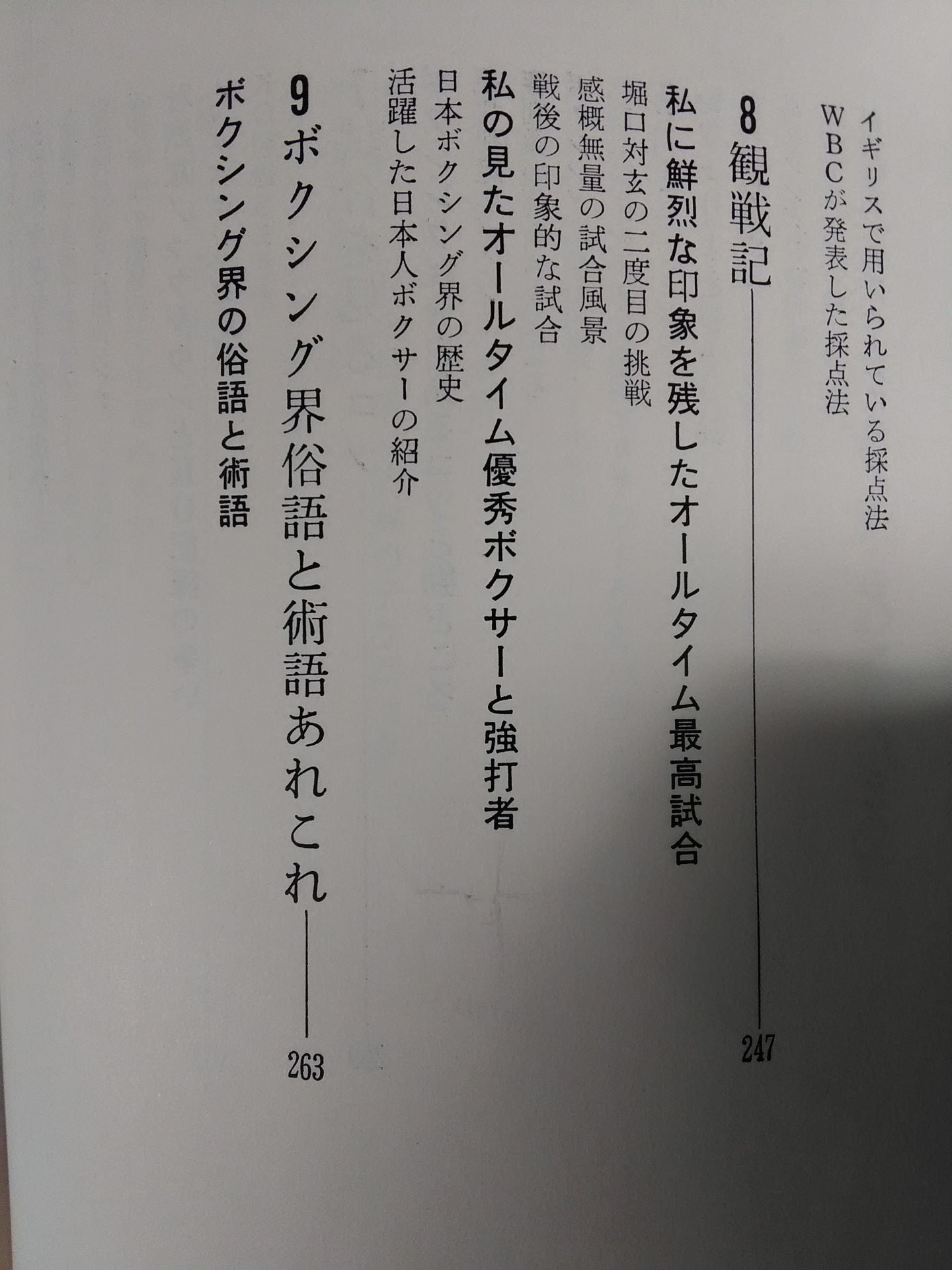 これがボクシングだ