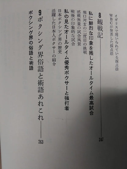 これがボクシングだ