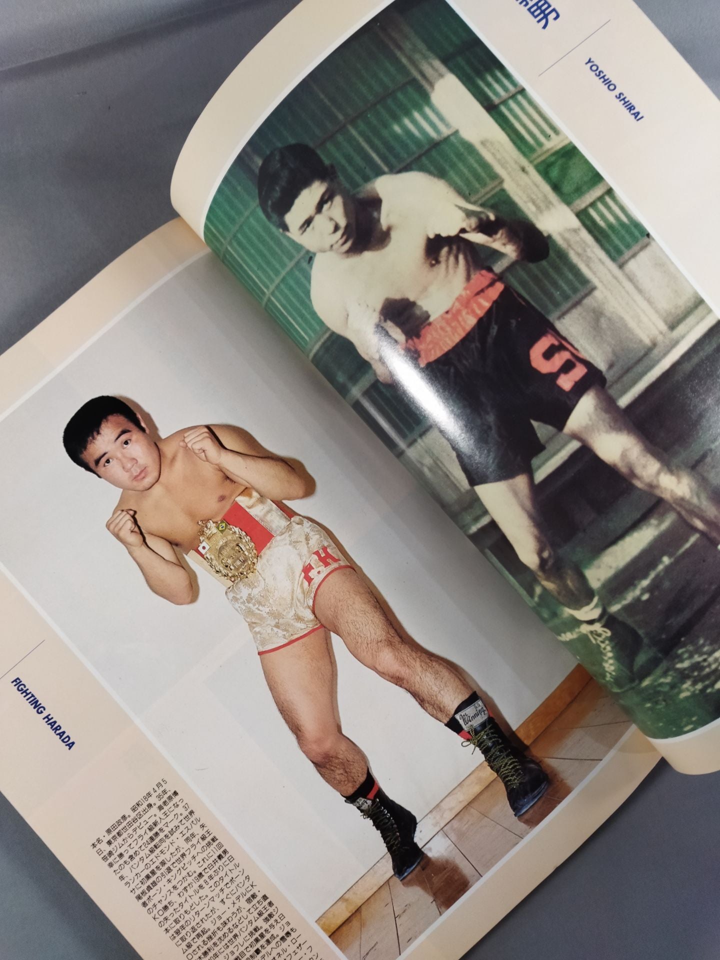 The Turbulent History of Showa Sports (15) [Boxing]