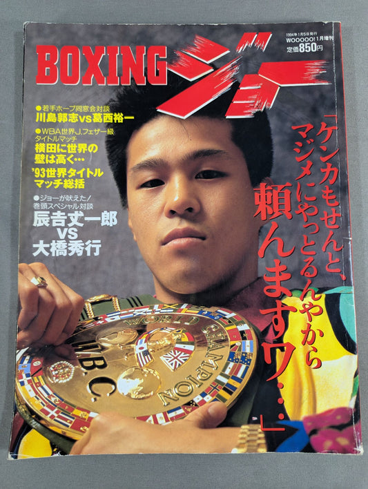 BOXING JOE