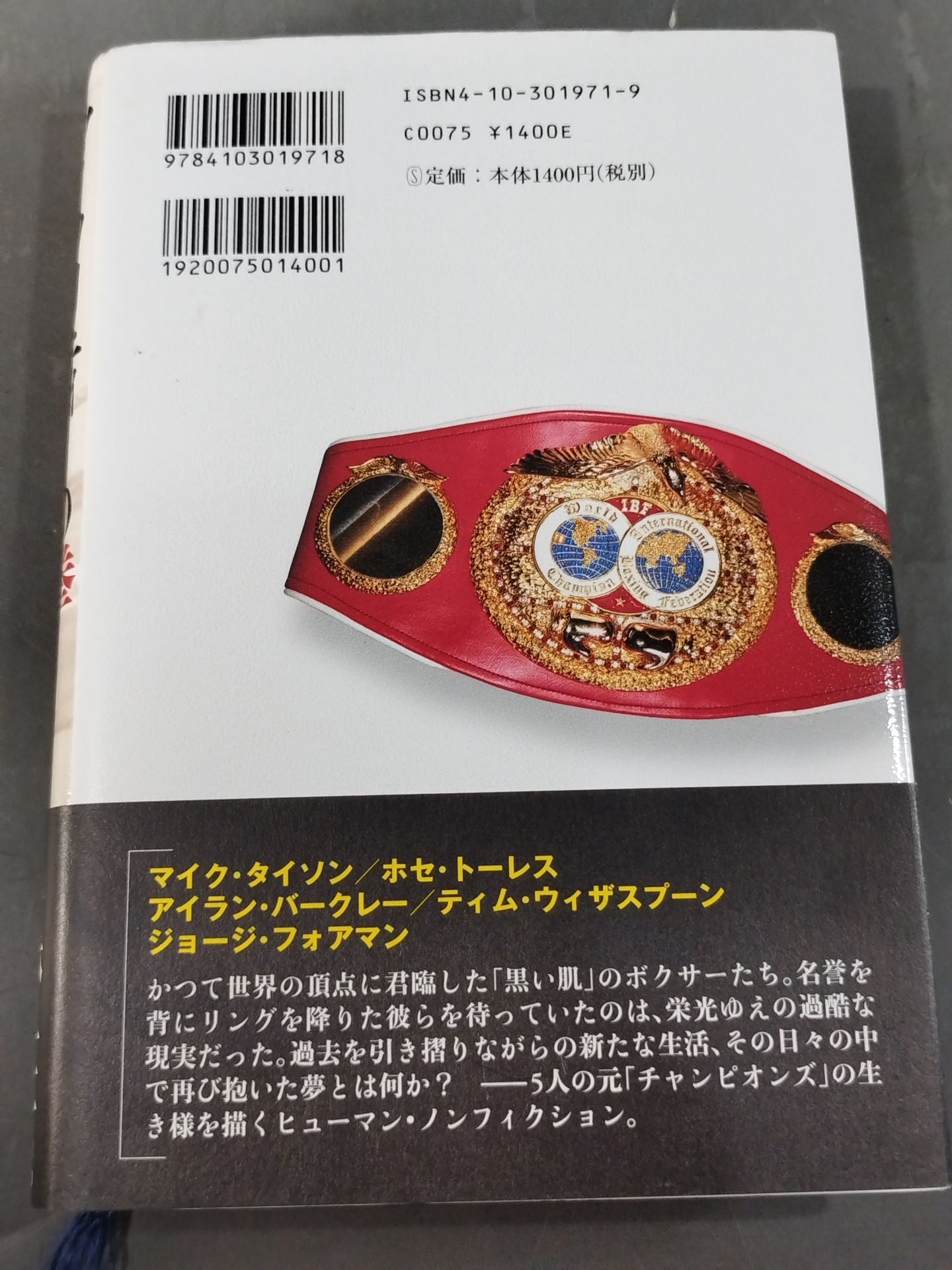 マイノリティーの拳 世界チャンピオンの光と闇