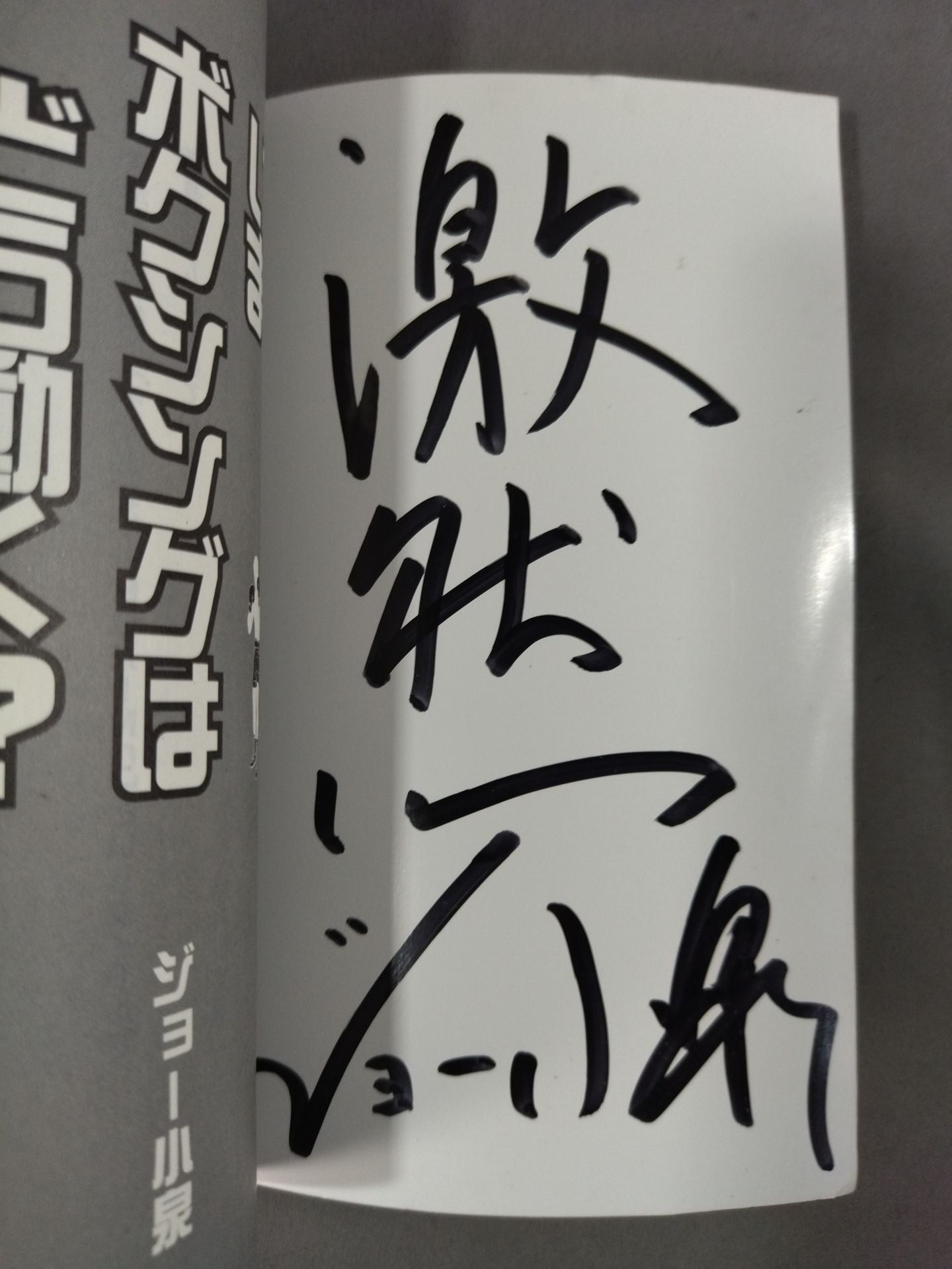【Joe Koizumi hand signed autograph 】How does boxing work now?