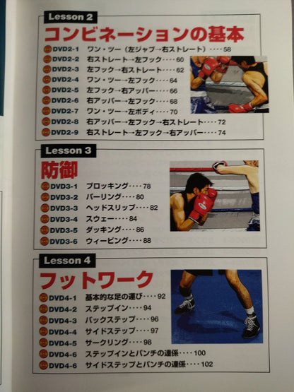 DVD Series: Boxing Perfect Master