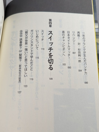 不良(ヤンキー)ボクサー母校へ帰る