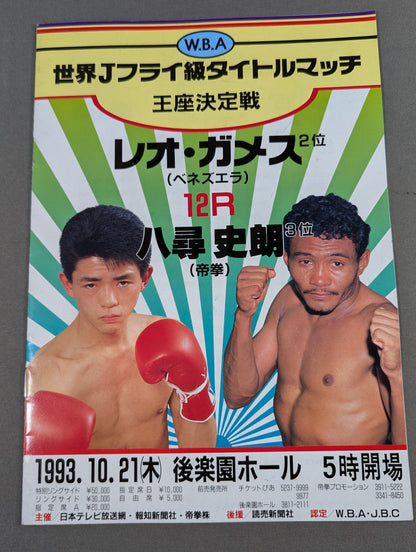 【WBA世界Jフライ級王座決定戦】レオ･ガメスvs八尋史朗