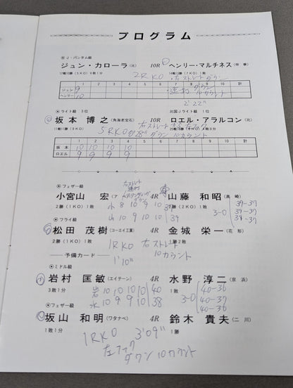 【WBA世界Jフライ級王座決定戦】レオ･ガメスvs八尋史朗